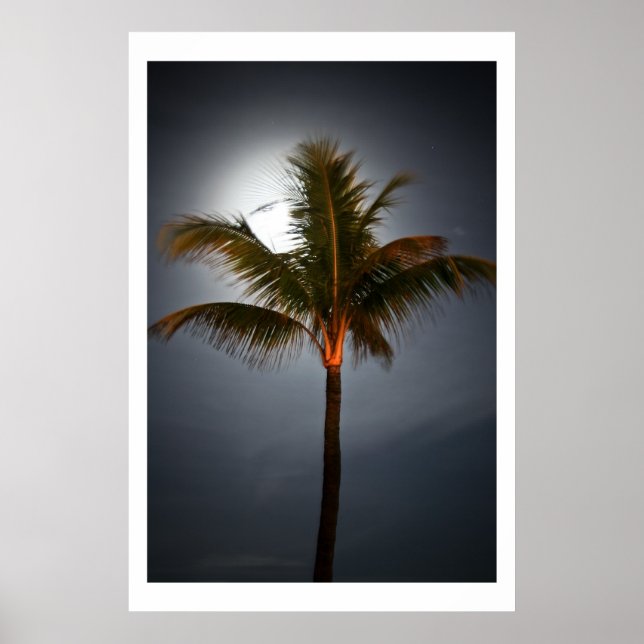 Poster Lever de lune sur palme (Devant)