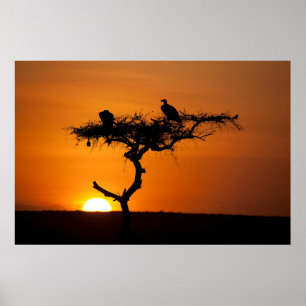 Poster lever de soleil au Masai Mara, Kenya