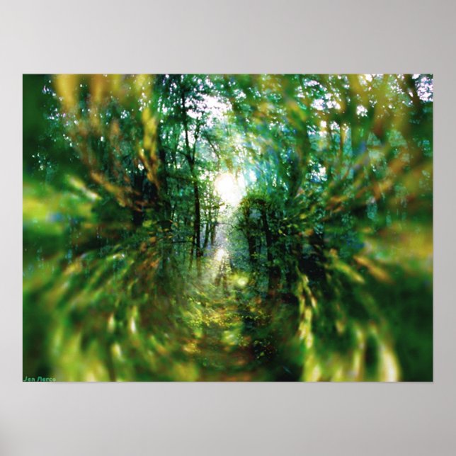 Poster Lever de soleil dans la forêt 2 (Devant)