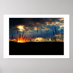 Poster Lever de soleil de CatTail