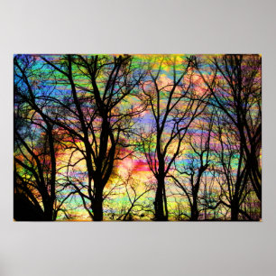 Poster Lever de soleil de sucrerie de coton, arbres nus,