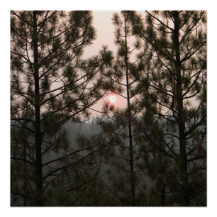 Poster Lever de soleil fumé du feu Carr 2018...