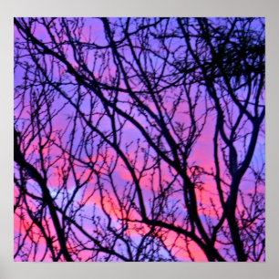 Poster Lever de soleil Silohuette