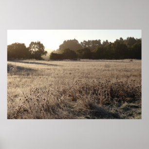 Poster Lever du soleil au paysage du sentier de Bear Vall