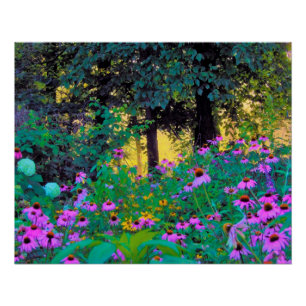 Poster Lever du soleil brumeux dans mon jardin Rubio