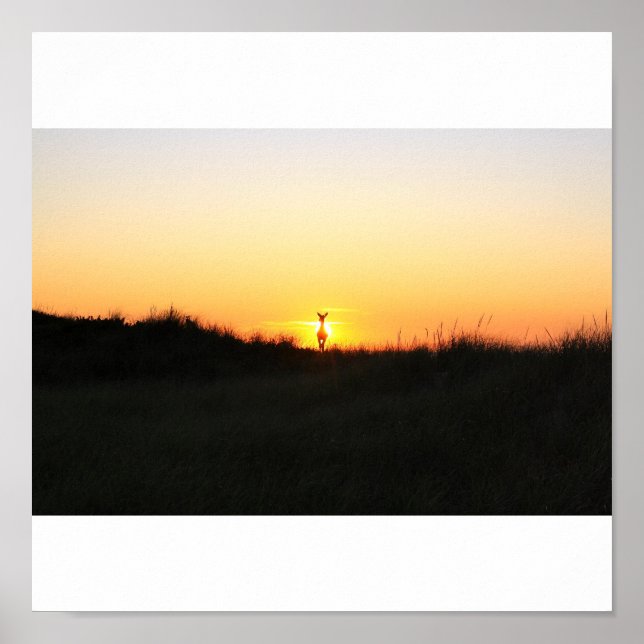 Poster lever du soleil des cerfs de l'île FIre (Devant)