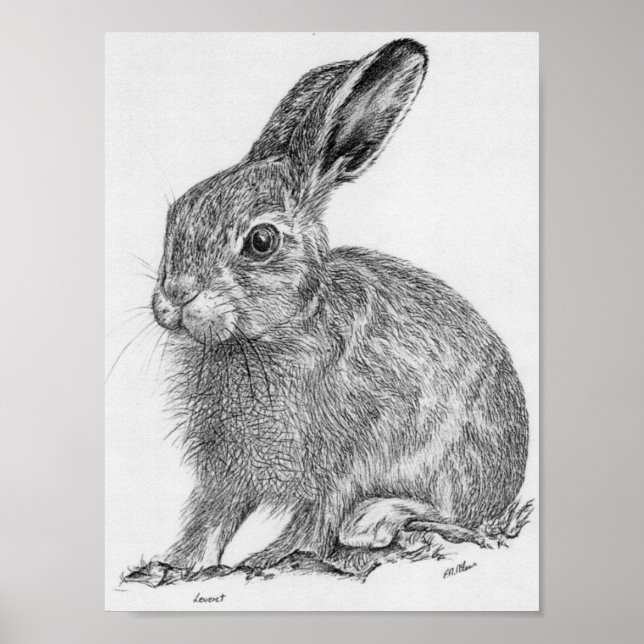 Poster Leveret (Devant)