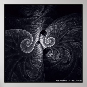 POSTER L'ÉVOLUTION DE DARWIN