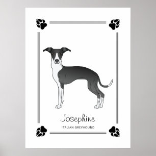 Poster Lévrier Italien Noir Et Blanc Avec Des Pattes Et D