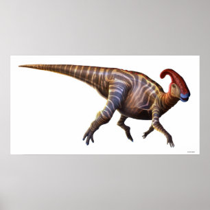 Poster Lézard Proche-Crêté
