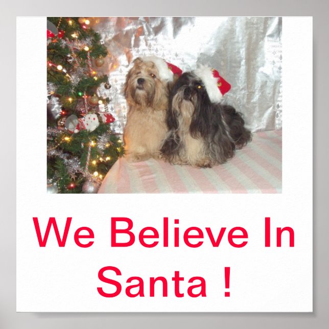Poster Lhasa Apso Chiens Nous Croyons En Père Noël Print (Devant)
