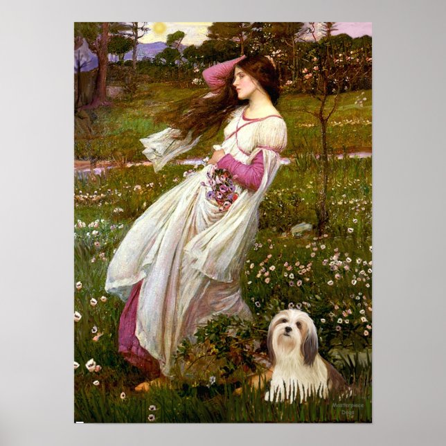 Poster Lhassa Apso 4 - Fleurs à vent (Devant)