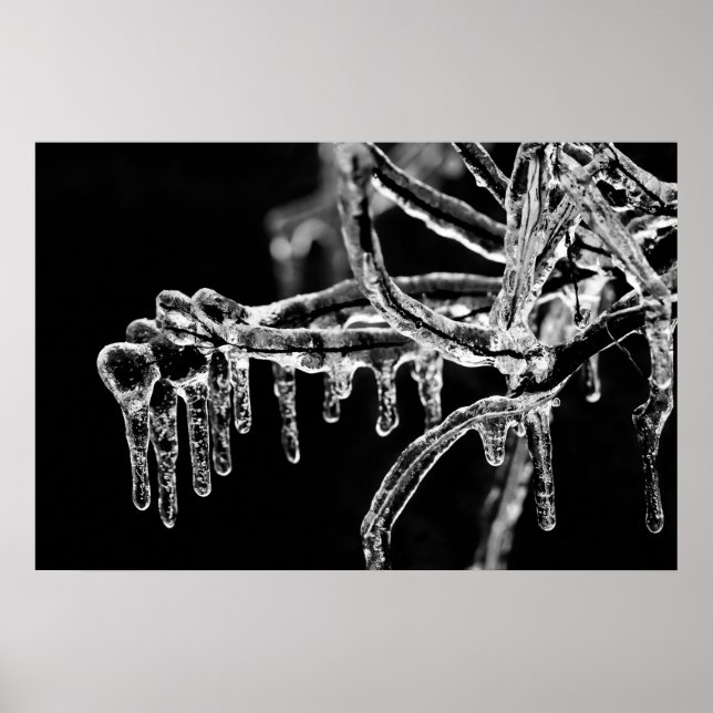 Poster l'hiver (Devant)