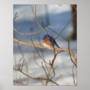 Poster L'hiver Bluebird Nature Peinture Art