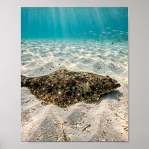Poster L'homme de Floride pêche l'aiglefin au fond sablon