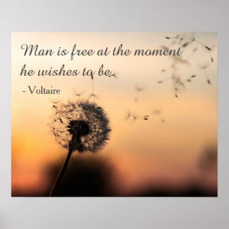 Poster L'homme est libre Citation Voltaire