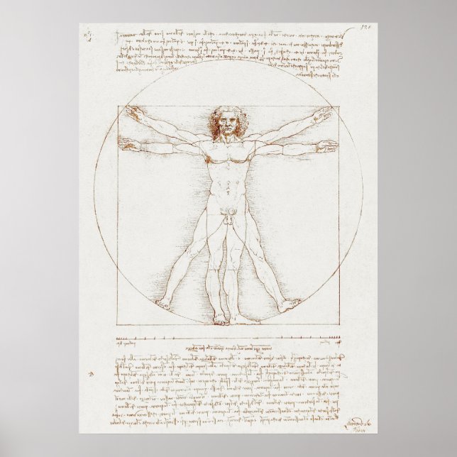 Poster L'homme vitruvien de Da Vinci (Devant)