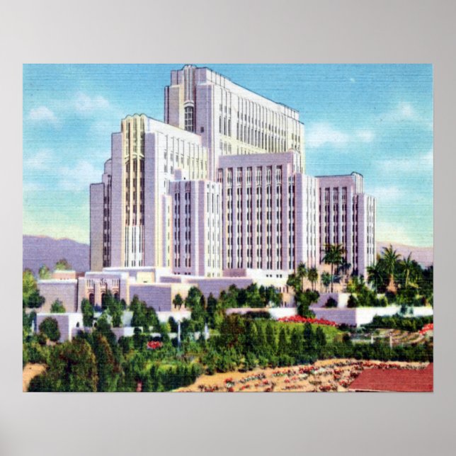 Poster L'hôpital général du comté de LA (Devant)