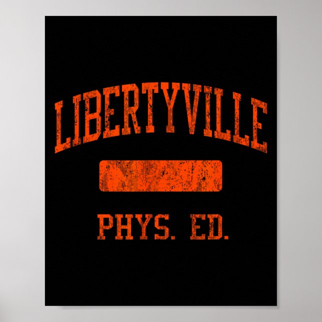 Poster Libertyville High School Hs Libertyville Il Phys E (Devant)