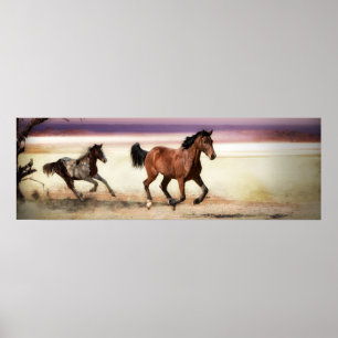 POSTER LIBRE D'ÊTRE SAUVAGE COULER LES CHEVAUX