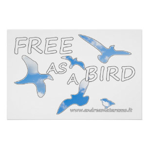 Poster Libre en tant qu'oiseau brillant