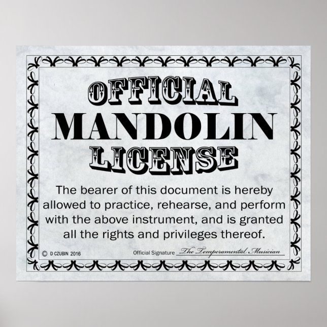 Poster Licence Mandolin (Devant)