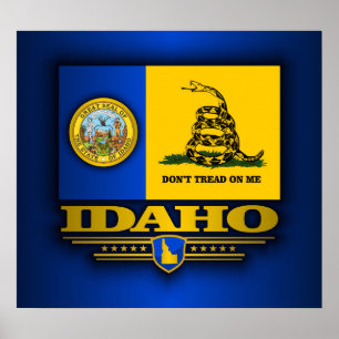Poster L'Idaho (DTOM)