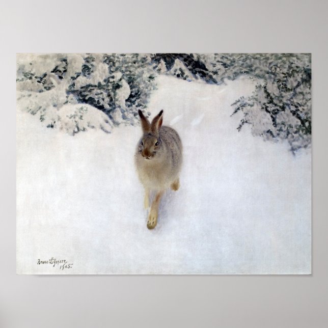 Poster Lièvre d'hiver (lapin), Bruno Liljefors (Devant)