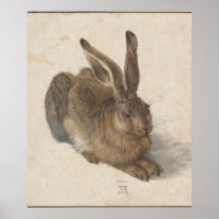 Lièvre jeune (Durer 1502)