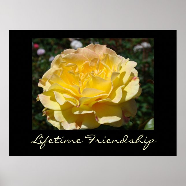 Poster Lifetime Friendship Yellow Rose art imprime Rose (Devant)