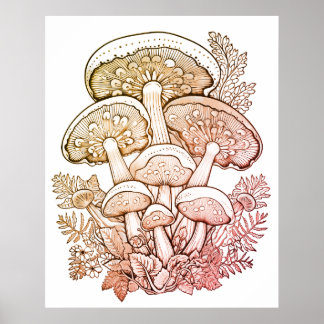 Poster Light Brown Mushrooms on White Background on Wall