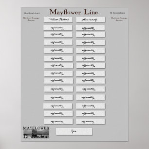Poster Ligne de fleur printanière - William Mullins et