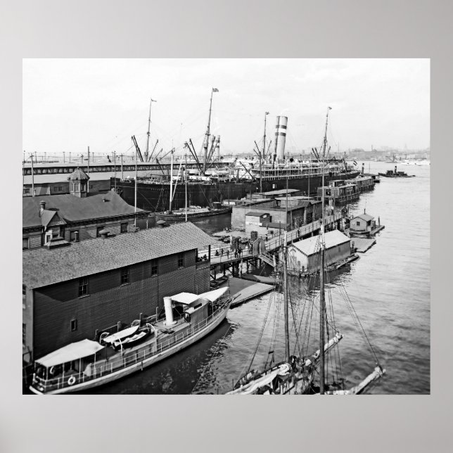 Poster Ligne Holland America (Devant)