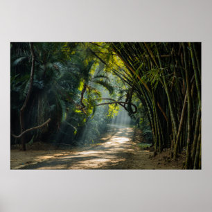 Poster Lignes de Bambou