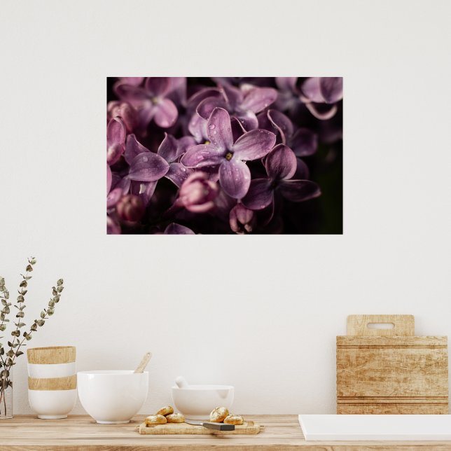 Poster Lilac Blossom après la pluie (Cuisine)