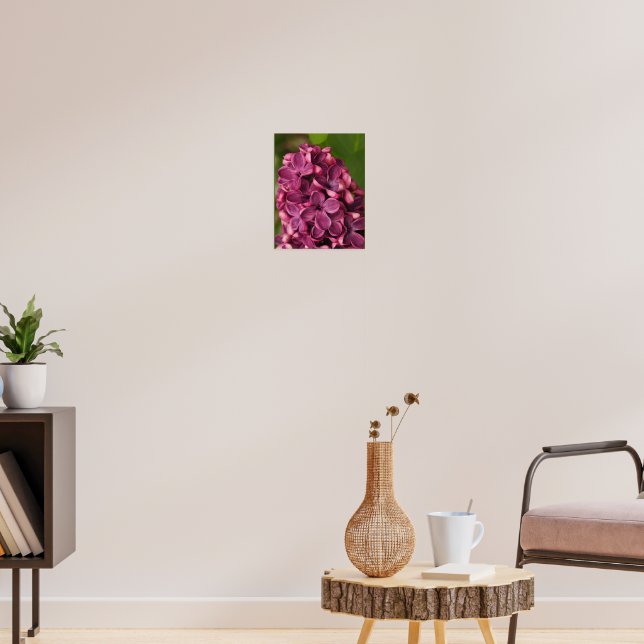 Poster Lilac commun (Salon 3)