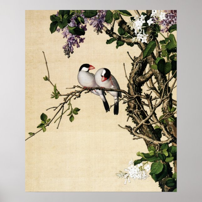 Poster Lilac et White Syringa Art (Devant)