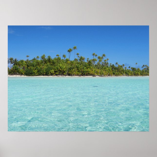 Poster L'île tropicale de Rangiroa (Devant)