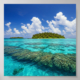Poster L'île tropicale et la barrière de corail