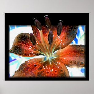 Poster Lilie Abstraite 3D