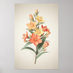 Poster Lilies Botaniques Corail et Crème
