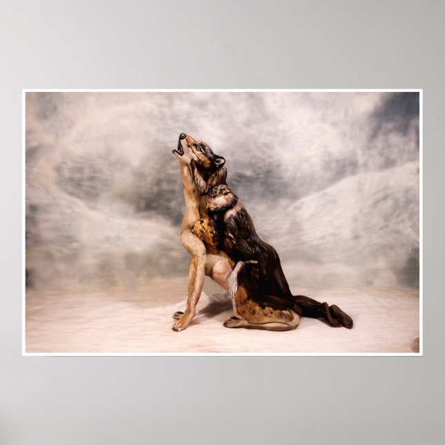 Poster L'Illusion du loup (Devant)