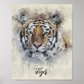 Poster L'illustration de l'aquarelle Tiger Look