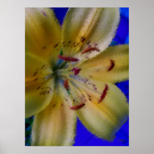Poster Lilly Lillies Fleurs Photographie