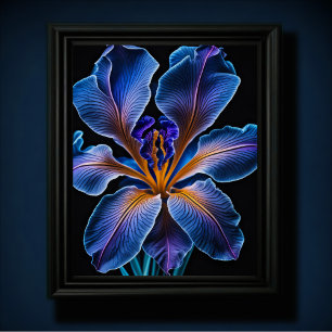 Poster Lily bleue