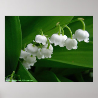 Poster Lily de la Vallée