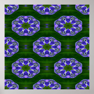 Poster Lily pad étoiles....