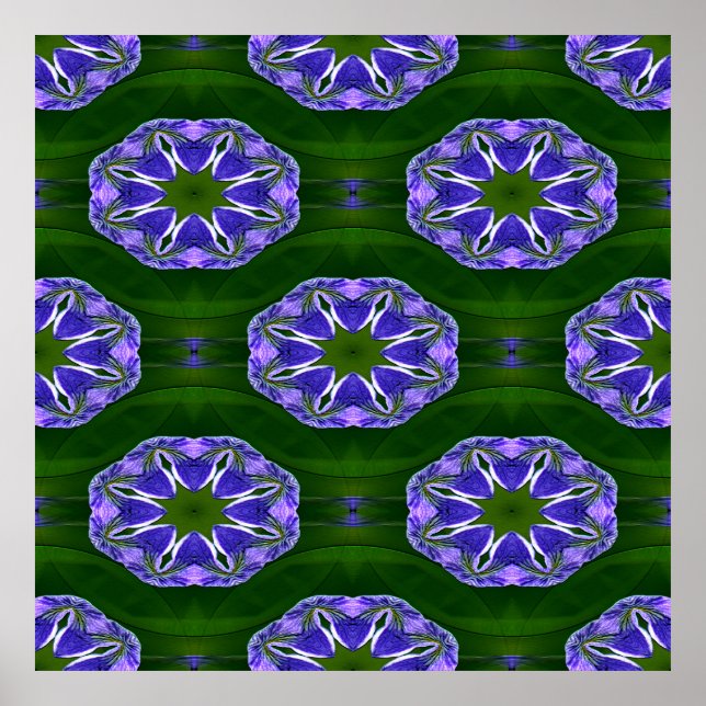 Poster Lily pad étoiles.... (Devant)