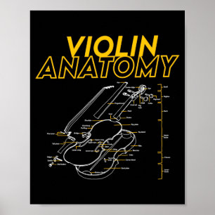 Poster Limite de diagramme de dessin d'anatomie de violon