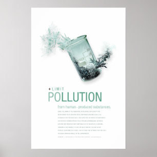 Poster Limiter la pollution : principes de durabilité Aff